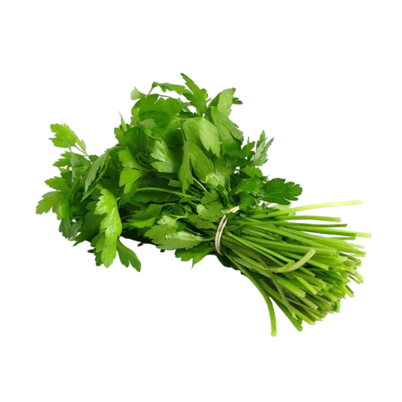 Groceteria Fresh - 1 Bunch Fresh Dhaniya (Coriander leaves)
