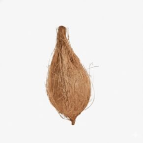 Groceteria Fresh - Pooja Coconut (1 PC)
