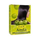 Hesh Amla Powder 100g